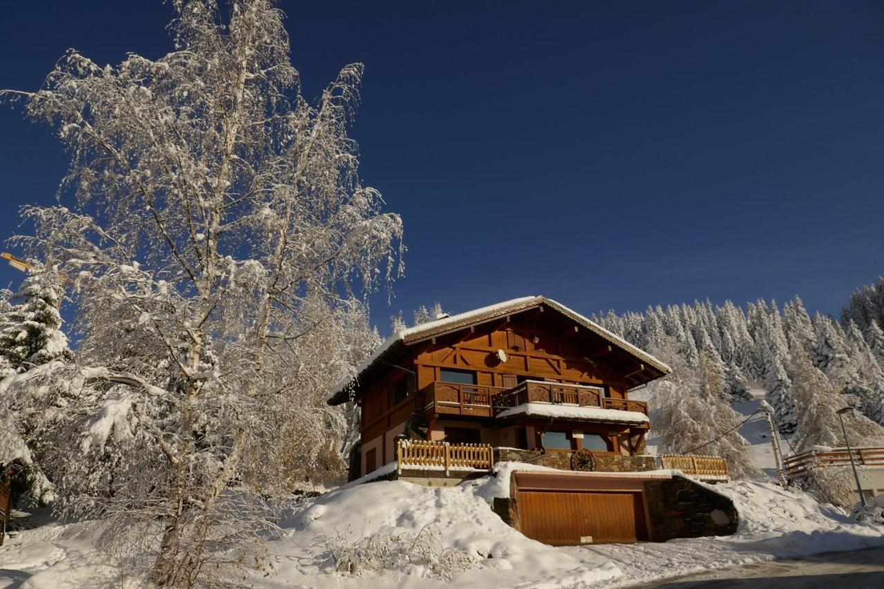 Les Saisies Cote Bisanne Appartement Dans Chalet Le Nepal Εξωτερικό φωτογραφία