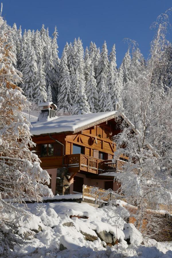 Les Saisies Cote Bisanne Appartement Dans Chalet Le Nepal Εξωτερικό φωτογραφία